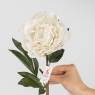 Искусственные пионы с эфектом живого прикосновения, белые, 67 см (2019-019)