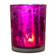 Підсвічник "Північне диво", 10 см (6017-183)