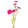 Космея (90 см) (013FO)