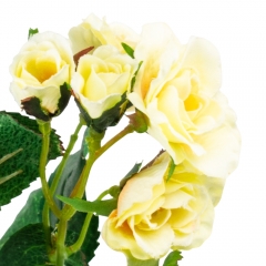 Камелія біла, 75 см (087F/white)