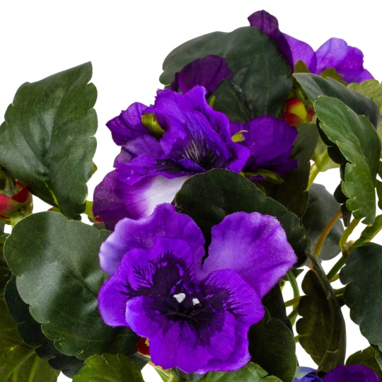 Анютины глазки (25 см) (106F/violet)