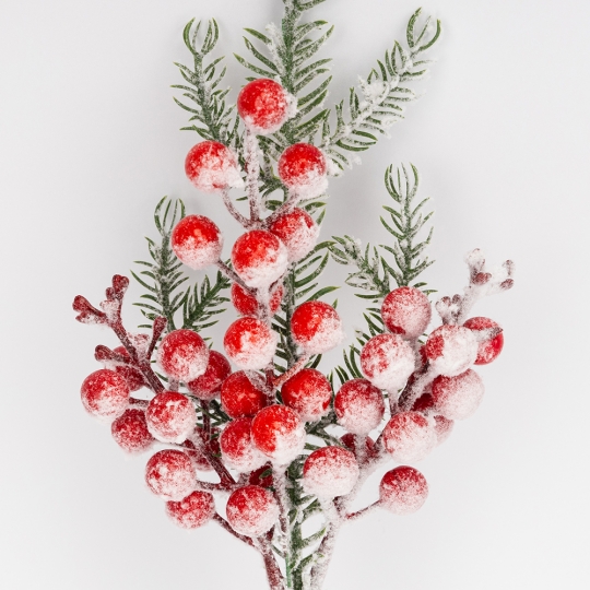 Декоративная ветвь 