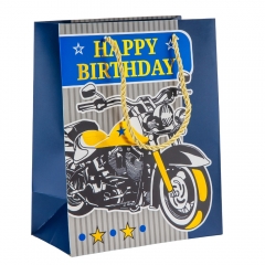 Подарунковий пакет "Спортивний дух", 18*23 см * Рандомний вибір дизайну (9208-006)