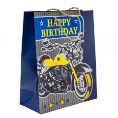 Подарунковий пакет "Спортивний дух", 26*32 см * Рандомний вибір дизайну (9208-007)