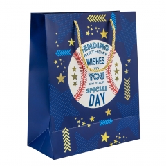 Подарунковий пакет "Спортивний дух", 26*32 см * Рандомний вибір дизайну (9208-007)