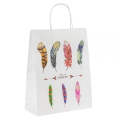 Подарунковий пакет "Магія пера", 24,5*31 см * Рандомний вибір дизайну (9215-004)