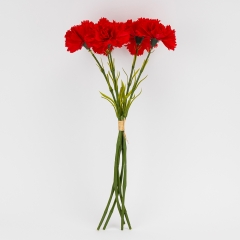 Букет гвоздик, 5 бутонів, червоний, 55 см (2026-020/red)