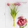 Букет тюльпанов, 5 бутонов, пудровый, 39 см (9259-099)
