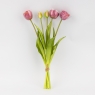 Букет тюльпанов, 5 бутонов, пудровый, 39 см (9259-099)