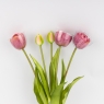 Букет тюльпанов, 5 бутонов, пудровый, 39 см (9259-099)