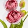Букет тюльпанов, 5 бутонов, пудровый, 39 см (9259-099)