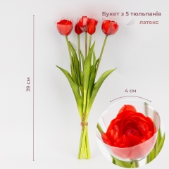 Букет тюльпанов, 5 бутонов, красный, 39 см (9259-100)