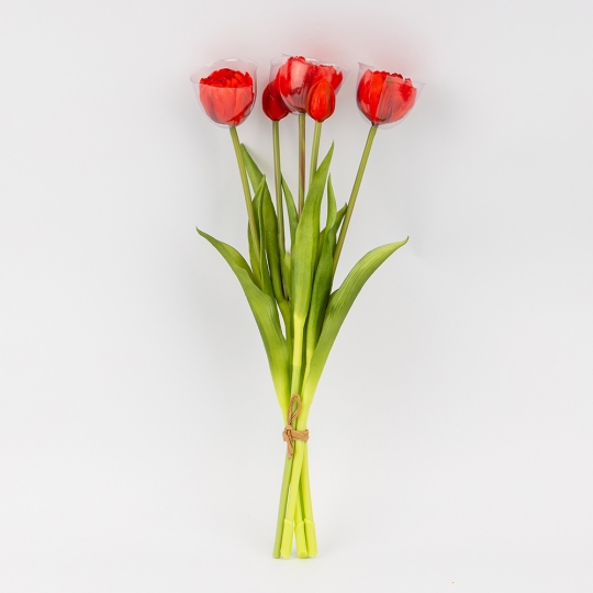 Букет тюльпанов, 5 бутонов, красный, 39 см (9259-100) Букет тюльпанов, 5 бутонов, красный, 39 см (9259-100)