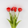 Букет тюльпанов, 5 бутонов, красный, 39 см (9259-100)