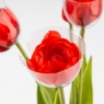 Букет тюльпанов, 5 бутонов, красный, 39 см (9259-100)