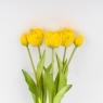 Букет тюльпанов, 5 бутонов, желтый, 39 см (9259-101)