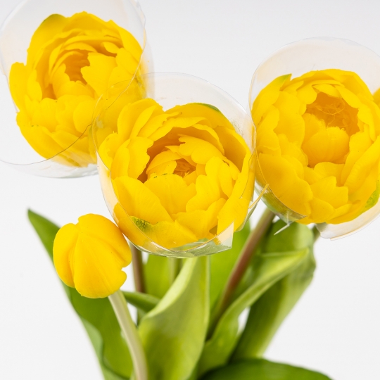 Букет тюльпанов, 5 бутонов, желтый, 39 см (9259-101)