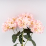 Букет гортензий, 5 бутонов, розовый, 44 см (9259-120)