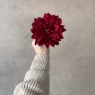 Головка жоржини, бордова, 15 см (9222-021)