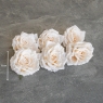 Головка троянди, кремова, 11 см (9222-024)
