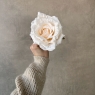 Головка троянди, кремова, 11 см (9222-024)