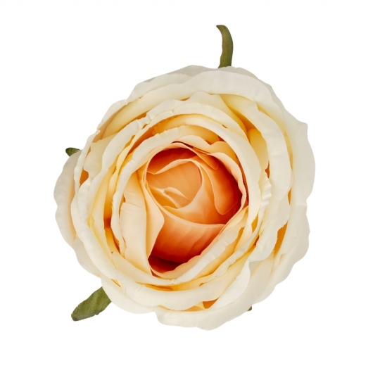 Головка розы, бежевая, 11 см (9222-029)