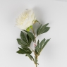 Искусственные пионы, белые, 91 см (2019-009)