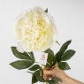 Искусственные пионы, белые, 91 см (2019-009)