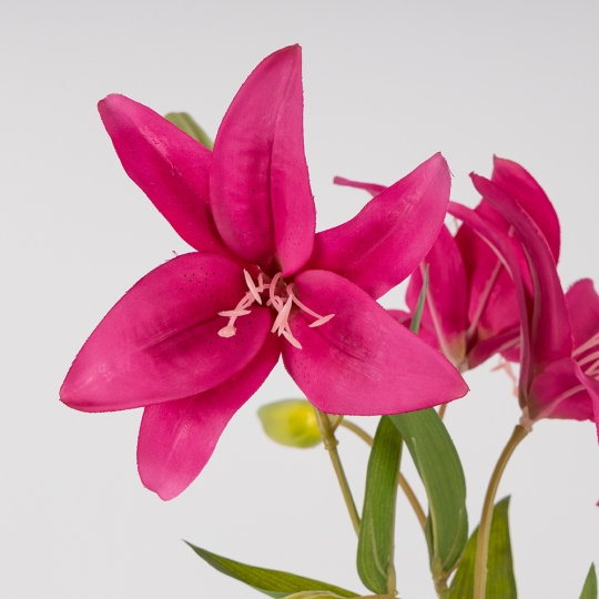 Искусственная лилия, фуксия, 77 см (2019-014) Искусственная лилия, фуксия, 77 см (2019-014)