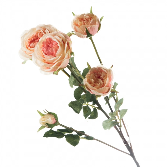 (024FS-PK) (024FS-PK)