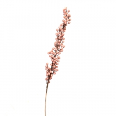 Кизильник Корал , рожевий 1 м (5000-004/PINK)