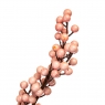 Кизильник Корал , рожевий 1 м (5000-004/PINK)