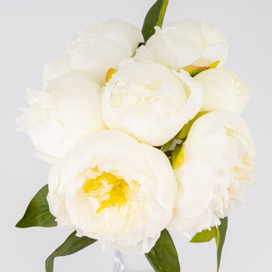 Букет півоній, 7 бутонів, білий, 28 см ВРЯТОВАНА ПОЗИЦІЯ (9259-114)