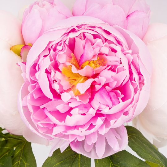 Букет пионов, 7 бутонов, пудрово-лиловый, 28 см СПАСЕННАЯ ПОЗИЦИЯ (9259-115) Букет пионов, 7 бутонов, пудрово-лиловый, 28 см СПАСЕННАЯ ПОЗИЦИЯ (9259-115)