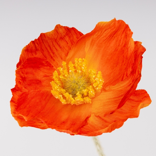 Искусственный мак, оранжевый, 61 см СПАСЕННАЯ ПОЗИЦИЯ (9259-130) Искусственный мак, оранжевый, 61 см СПАСЕННАЯ ПОЗИЦИЯ (9259-130)