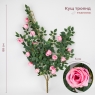 Искусственный куст роз, розовый, 88 см (9270-018)