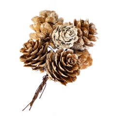 Декор "Шишки білки" (8003-011)