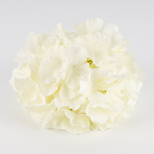 Головка гортензии, белая, 20 см (19222-001)