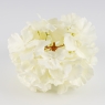 Головка гортензии, белая, 20 см (19222-001)