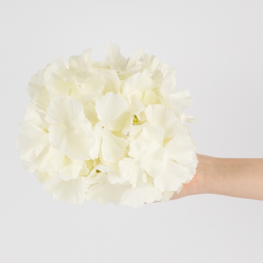 Головка гортензии, белая, 20 см (19222-001)