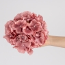 Головка гортензії, рожева, 20 см (19222-003)