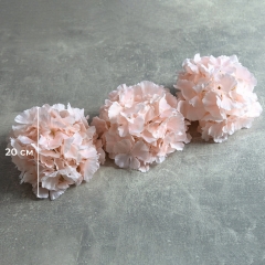 Головка гортензії, ніжно-рожева, 20 см (19222-005)