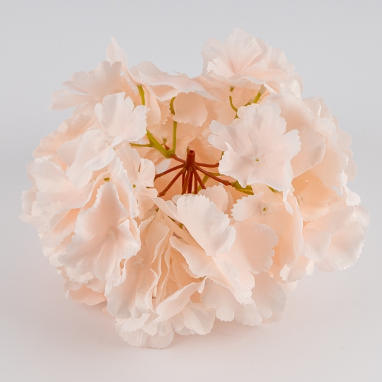 Головка гортензии, нежно-розовая, 20 см (19222-005)