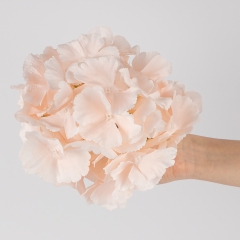Головка гортензії, ніжно-рожева, 20 см (19222-005)