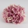Головка гортензии, кремово-лиловая, 20 см (19222-006)