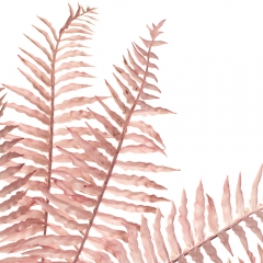 Гілка папороті, рожева (8725-012)