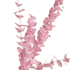 Гілка евкаліпта, рожева (8725-018)