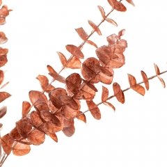 Гілка евкаліпта, помаранчева (8725-019)