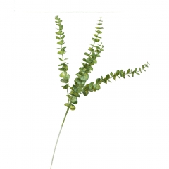 Гілка євкаліпта, зелена (8725-020)