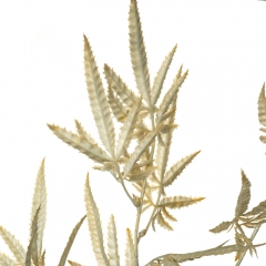 Декоративна гілка, сіра (8725-023)